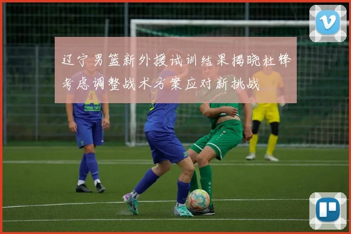 辽宁男篮新外援试训结果揭晓杜锋考虑调整战术方案应对新挑战